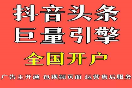 某电商平台的SEM策略与效果展示